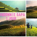 Trekking Sapa 1 jour niveau Facile – Rizières de riz et montagnes de Sapa