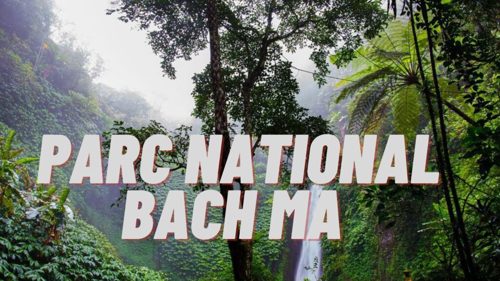 Parc national de Bach Ma - Centre de la diversité de la flore au Vietnam Guide voyage Complet