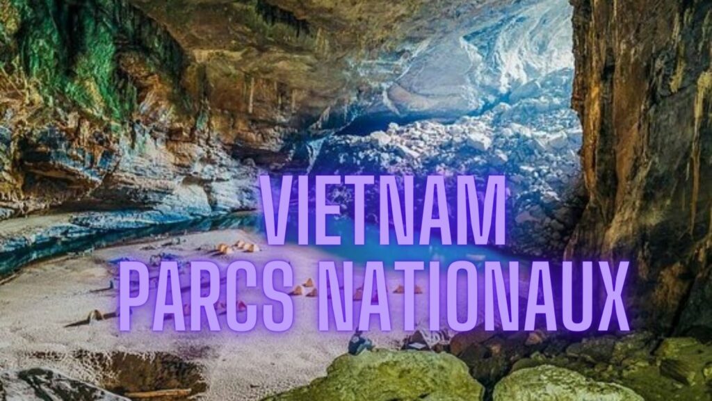 Parcs nationaux du Vietnam qui méritent une visite