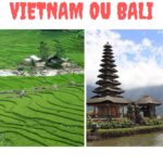 Vietnam ou Bali : Quelle destination d'Asie du Sud-Est est la meilleure ?