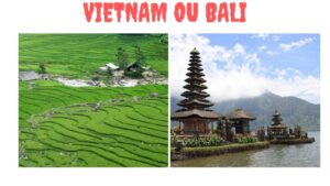 Vietnam ou Bali : Quelle destination d'Asie du Sud-Est est la meilleure ?