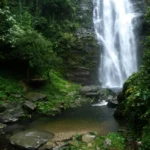Guide de voyage Parc national de Pu Mat