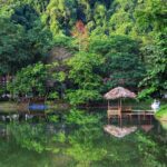 Le parc national de Cuc Phuong : Paradis des activités de plein air