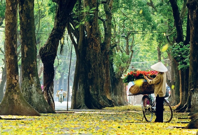 Vieux quartier de Hanoi, idéale pour découvrir la vie quotidienne, la culture et les habitants de Hanoï, au Viêt Nam.